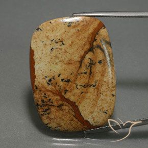27.74ct 天然 マルチカラー 碧玉, クッション, オペーク