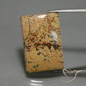 25.27ct 天然 マルチカラー 碧玉, バゲット, オペーク