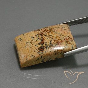 25.27カラットの天然マルチカラー碧玉、バゲット、オペーク