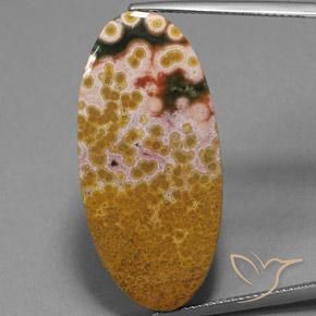 25.07ct 天然 マルチカラー 碧玉, 楕円形, オペーク
