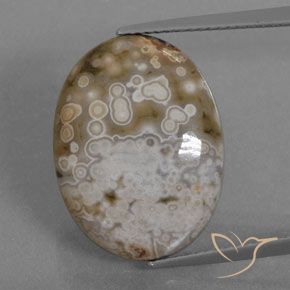 12.72ct 天然 マルチカラー 碧玉, 楕円形, オペーク