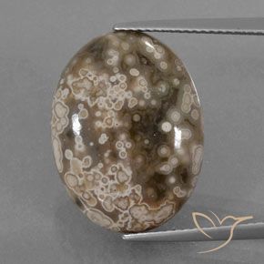 13.00ct 天然 マルチカラー 碧玉, 楕円形, オペーク