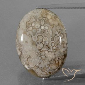 12.43ct 天然 マルチカラー 碧玉, 楕円形, オペーク
