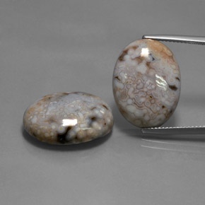 28.35カラットの天然マルチカラージャスパー（20×15.2 mm・オーバルカット）