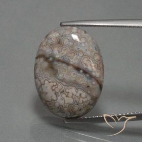 12.39ct 天然 マルチカラー 碧玉, 楕円形, オペーク