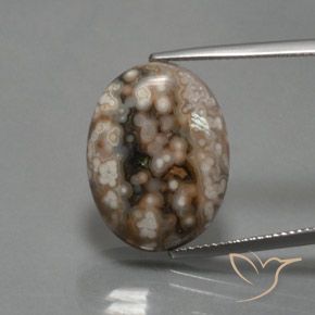 12.87ct 天然 マルチカラー 碧玉, 楕円形, オペーク