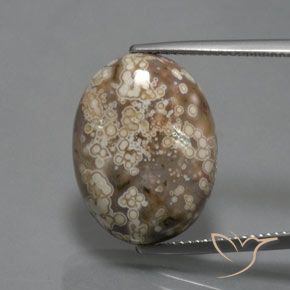14.73ct 天然 マルチカラー 碧玉, 楕円形, オペーク