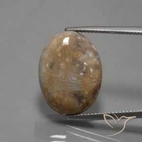 15.30ct 天然 マルチカラー 碧玉, 楕円形, オペーク