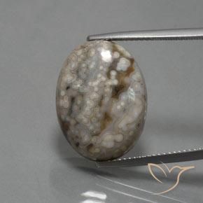 14.48ct 天然 マルチカラー 碧玉, 楕円形, オペーク