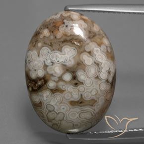 14.70ct 天然 マルチカラー 碧玉, 楕円形, オペーク