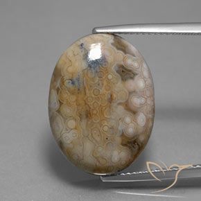 13.80ct 天然 マルチカラー 碧玉, 楕円形, オペーク