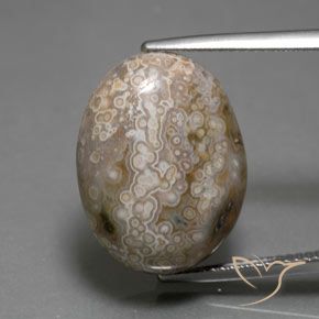 15.26ct 天然 マルチカラー 碧玉, 楕円形, オペーク