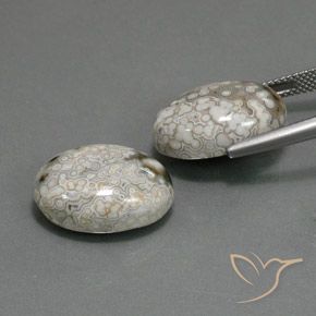 Shop natural 23.48ct マルチカラー 碧玉 gems, 楕円形, from インドネシア at GemSelect. In stock, global shipping!