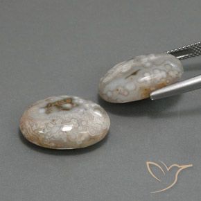 Shop natural 18.63ct マルチカラー 碧玉 gems, 楕円形, from インドネシア at GemSelect. In stock, global shipping!