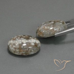 Shop natural 25.02ct マルチカラー 碧玉 gems, 楕円形, from インドネシア at GemSelect. In stock, global shipping!