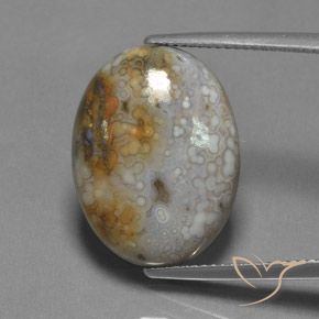 13.45ct 天然 マルチカラー 碧玉, 楕円形, オペーク