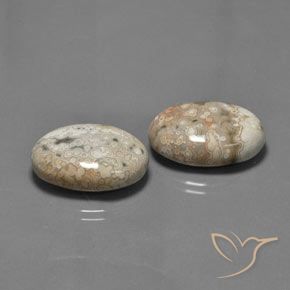 Shop natural 27.89ct マルチカラー 碧玉 gems, 楕円形, from インドネシア at GemSelect. In stock, global shipping!