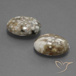 Shop natural 15.34ct マルチカラー 碧玉 gems, 楕円形, from インドネシア at GemSelect. In stock, global shipping!