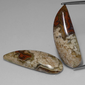 カラットの天然マルチカラージャスパー（36.2×12.9 mm・ファンシーシェイプ）