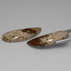 カラットの天然マルチカラージャスパー（36.2×12.9 mm・ファンシーシェイプ）