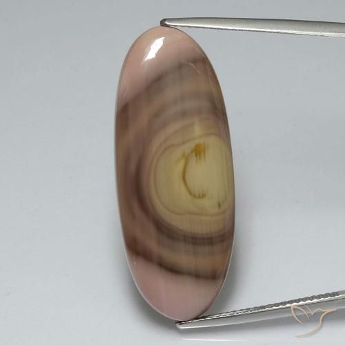 17.33ct 天然 マルチカラー 碧玉, 楕円形, オペーク