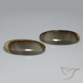 Shop natural 52.70ct マルチカラー 碧玉 gems, 楕円形, from メキシコ at GemSelect. In stock, global shipping!