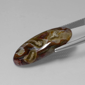 13.46カラットの天然マルチカラー碧玉、オーバルカット、オペーク