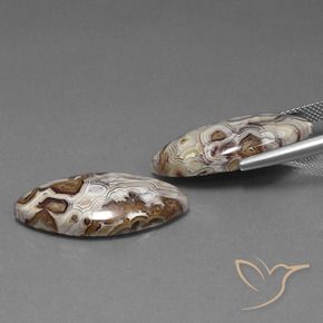 Shop natural 24.92ct マルチカラー 碧玉 gems, マーキーズ, from インドネシア at GemSelect. In stock, global shipping!
