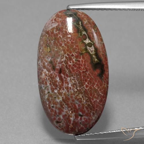 9.98ct 天然 マルチカラー 碧玉, 楕円形, オペーク