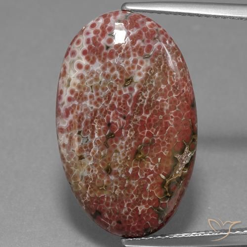 11.71ct 天然 マルチカラー 碧玉, 楕円形, オペーク