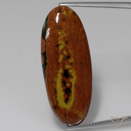 16.54ct 天然 マルチカラー 碧玉, 楕円形, オペーク