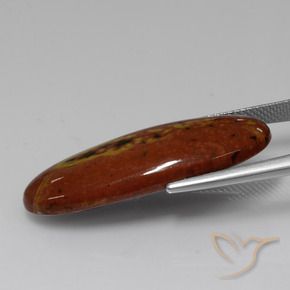 16.54カラットの天然マルチカラー碧玉、楕円形、オペーク