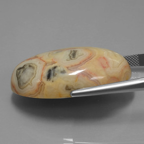 62.14カラットの天然マルチカラー碧玉、オーバルカット、オペーク