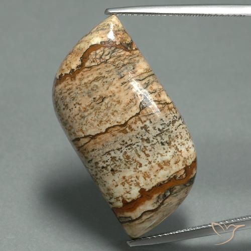 27.45ct 天然 マルチカラー 碧玉, ファンシー, オペーク