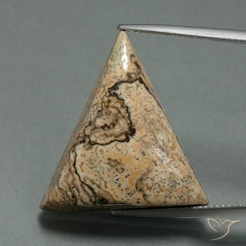 24.08ct 天然 マルチカラー 碧玉, トリリオン, オペーク