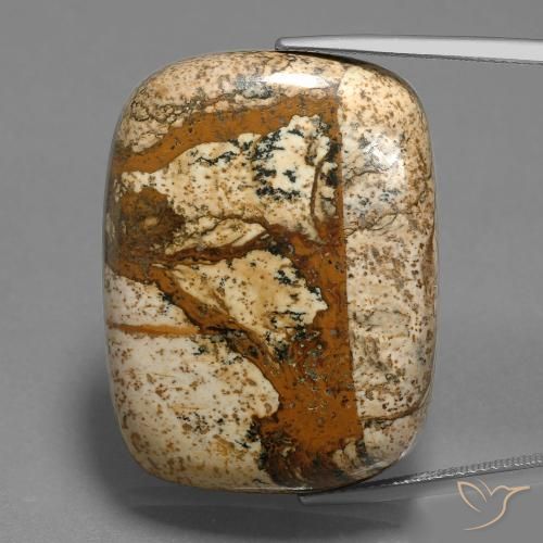 58.74ct 天然 マルチカラー 碧玉, クッション, オペーク