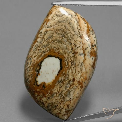 47.70ct 天然 マルチカラー 碧玉, ファンシー, オペーク