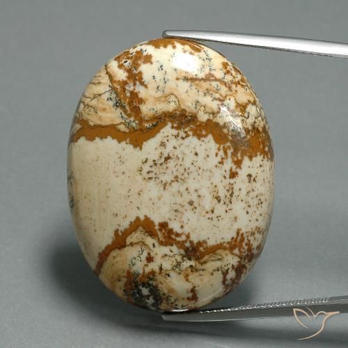 43.57ct 天然 マルチカラー 碧玉, 楕円形, オペーク