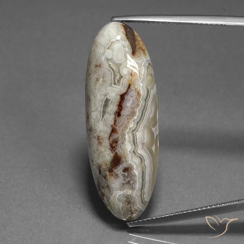 23.27ct 天然 マルチカラー 碧玉, 楕円形, オペーク