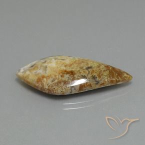 14.89カラットの天然マルチカラー碧玉、ファンシー、オペーク