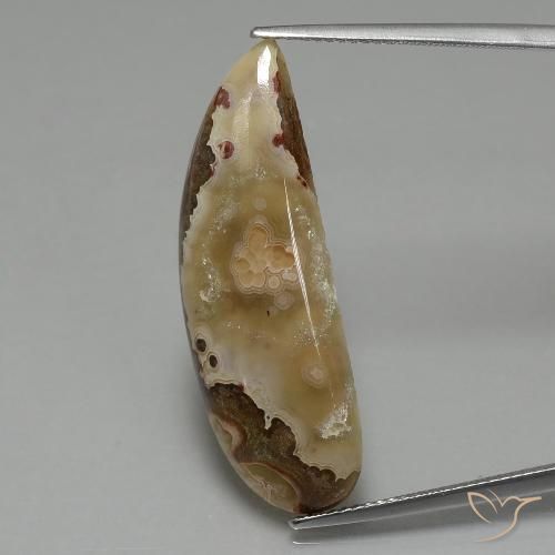 14.43ct 天然 マルチカラー 碧玉, ファンシー, オペーク
