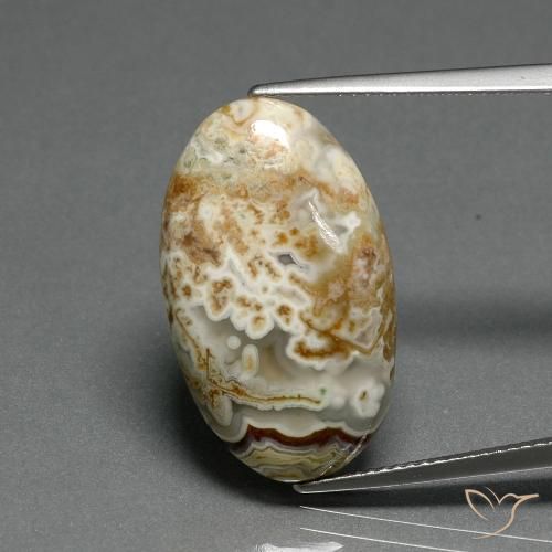 14.29ct 天然 マルチカラー 碧玉, 楕円形, オペーク