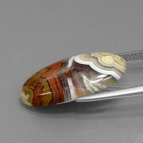 13.94カラットの天然マルチカラー碧玉、オーバルカット、オペーク