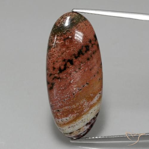 15.75ct 天然 マルチカラー 碧玉, 楕円形, オペーク