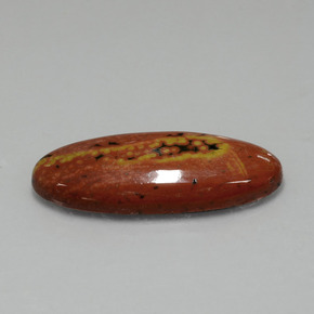 17.43カラットの天然マルチカラージャスパー（32.4×13.4 mm・オーバルカット）