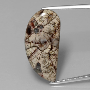 8.64カラットの天然マルチカラー碧玉、ファンシーシェイプ、オペーク