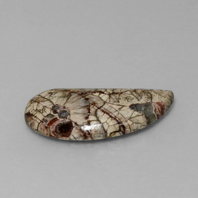 8.64カラットの天然マルチカラー碧玉、ファンシーシェイプ、オペーク