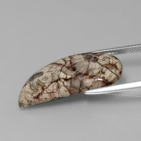 8.64カラットの天然マルチカラー碧玉、ファンシーシェイプ、オペーク