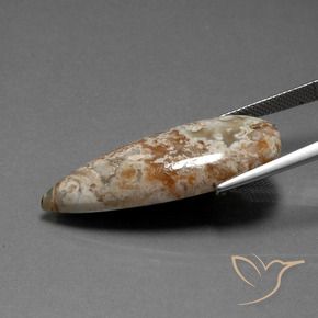 19.58カラットの天然マルチカラー碧玉、洋梨の形、オペーク