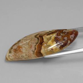 24.71カラットの天然マルチカラー碧玉、ファンシーシェイプ、オペーク